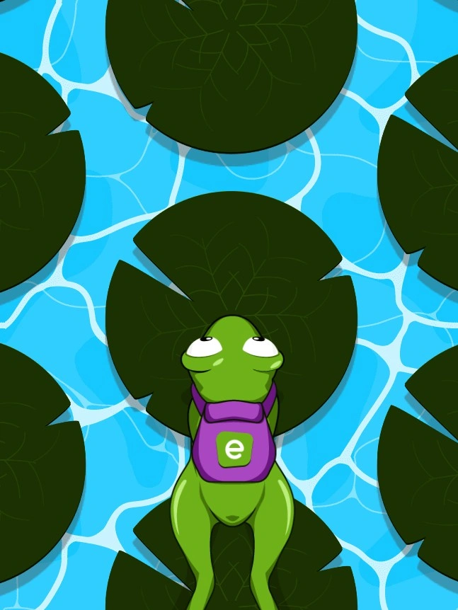 Podgląd strony partnerskiej Frogger Jump